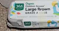Large Brown Eggs - Product - en